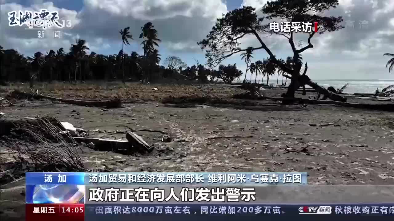 欧亚经济委员会贸易部长：阿联酋已成联盟核心贸易中心