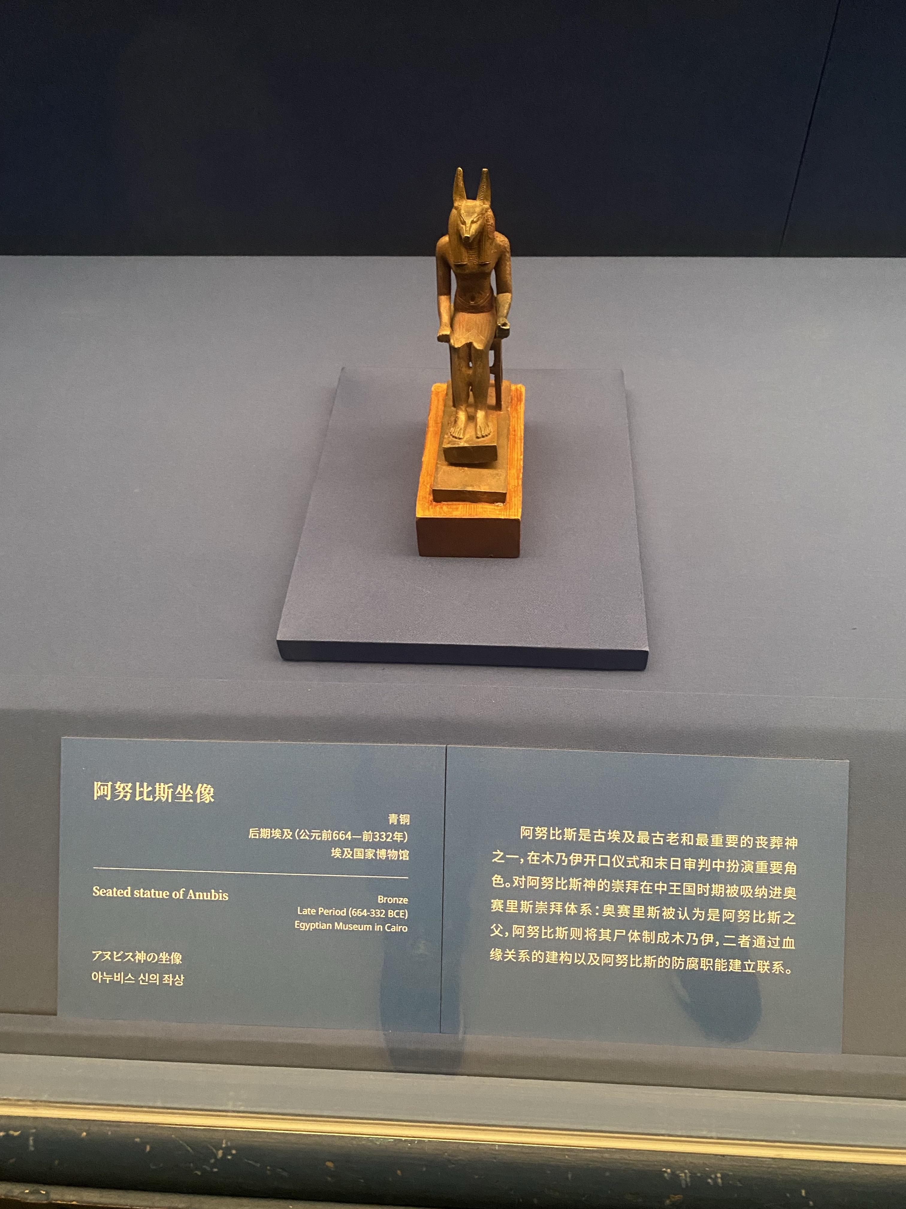 国博揭幕新展：王国的艺术