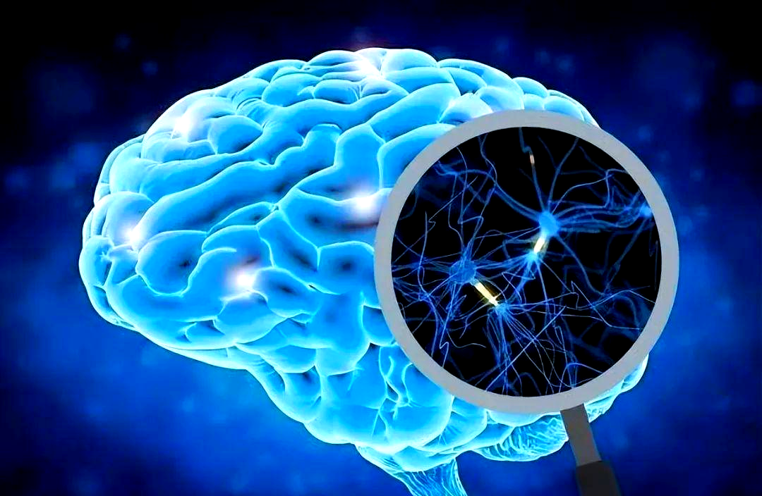 深度了解自己｜焦虑，大脑制造的灾难化想象