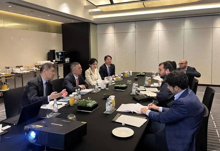 塔能源部长：须遏制虚假报告与电损