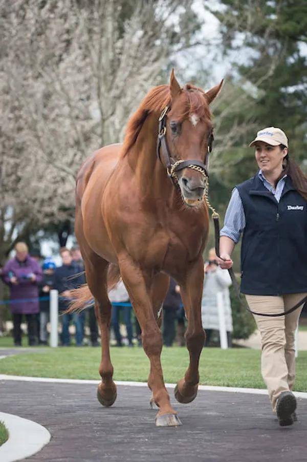 房新文总领事出席香港澳洲商会维州分会2025年商业成就奖颁奖典礼