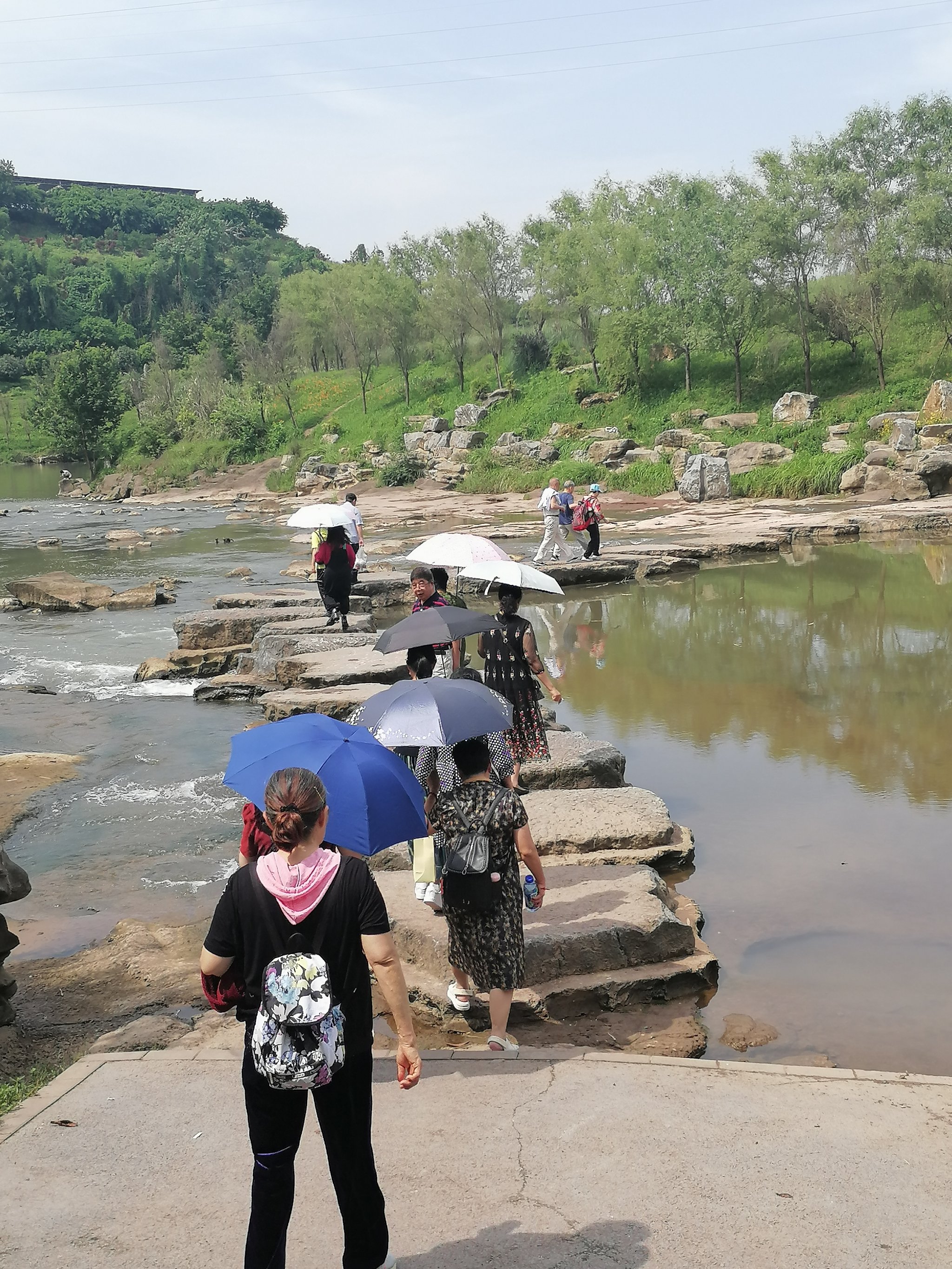 湖北竹溪：好生态激活林下“凉经济”