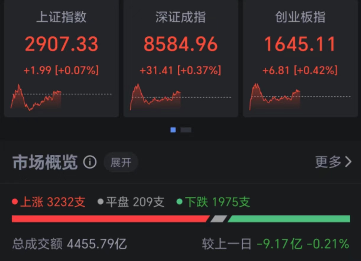 债市日报：8月5日
