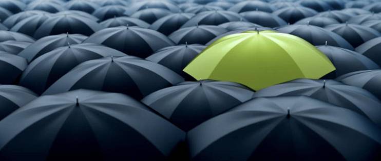 不靠噱头的质价比，“星海小帕梅”的用户共识