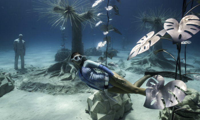 南非森林、渔业和环境部就碳预算法规公开征求意见