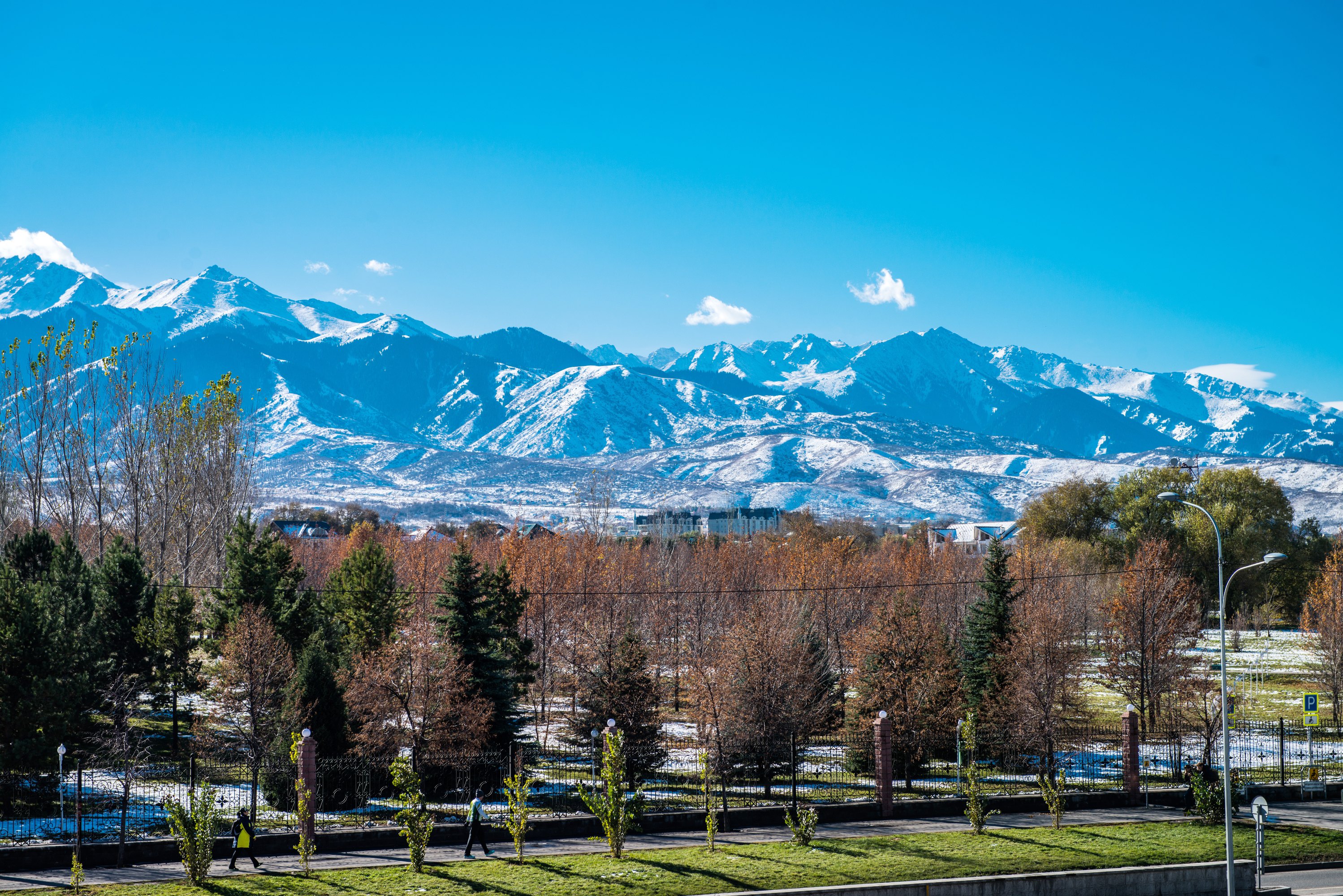 塔吉克斯坦政府机构35岁以下职工约占1/2