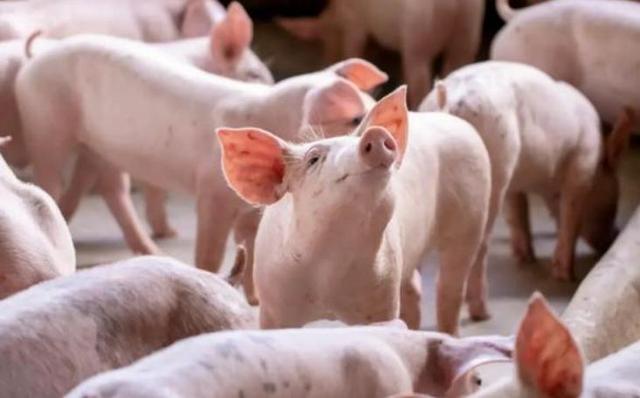 爱尔兰并购交易量逆势上涨4%