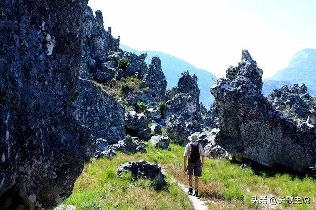 津巴布韦下半年经济预计稳健增长