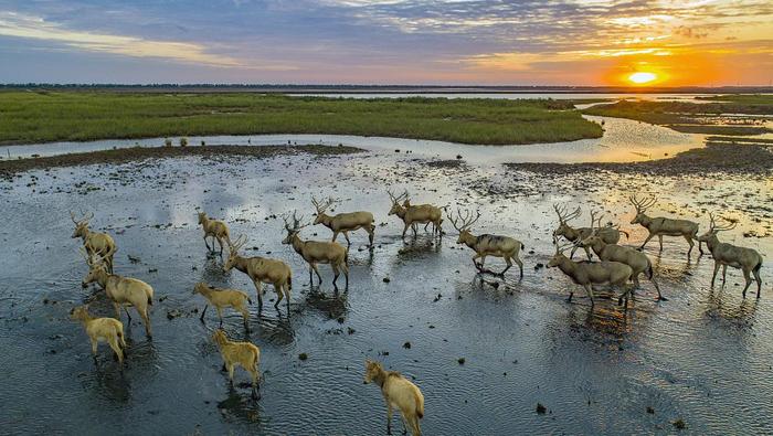 首批5个国家公园全部完成确权登记