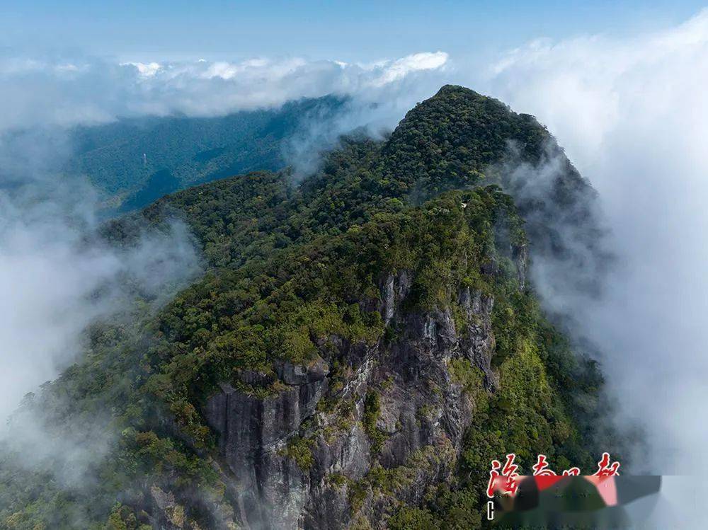 首批5个国家公园全部完成确权登记