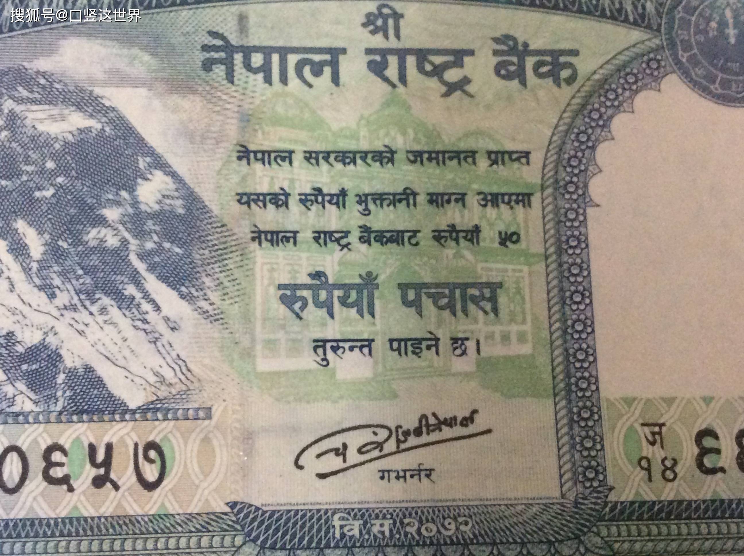 中企获准在尼泊尔投资200亿卢比水牛肉出口项目