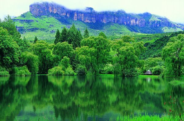 交易商协会正式发布“中国绿色债券信息服务平台”