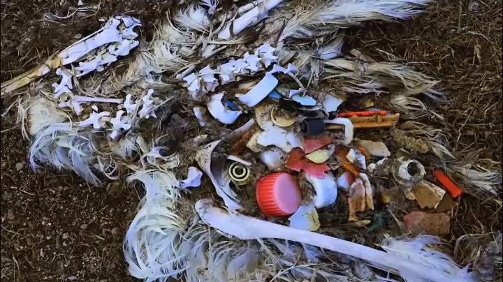 马拉迪连续遭遇武装匪徒袭击