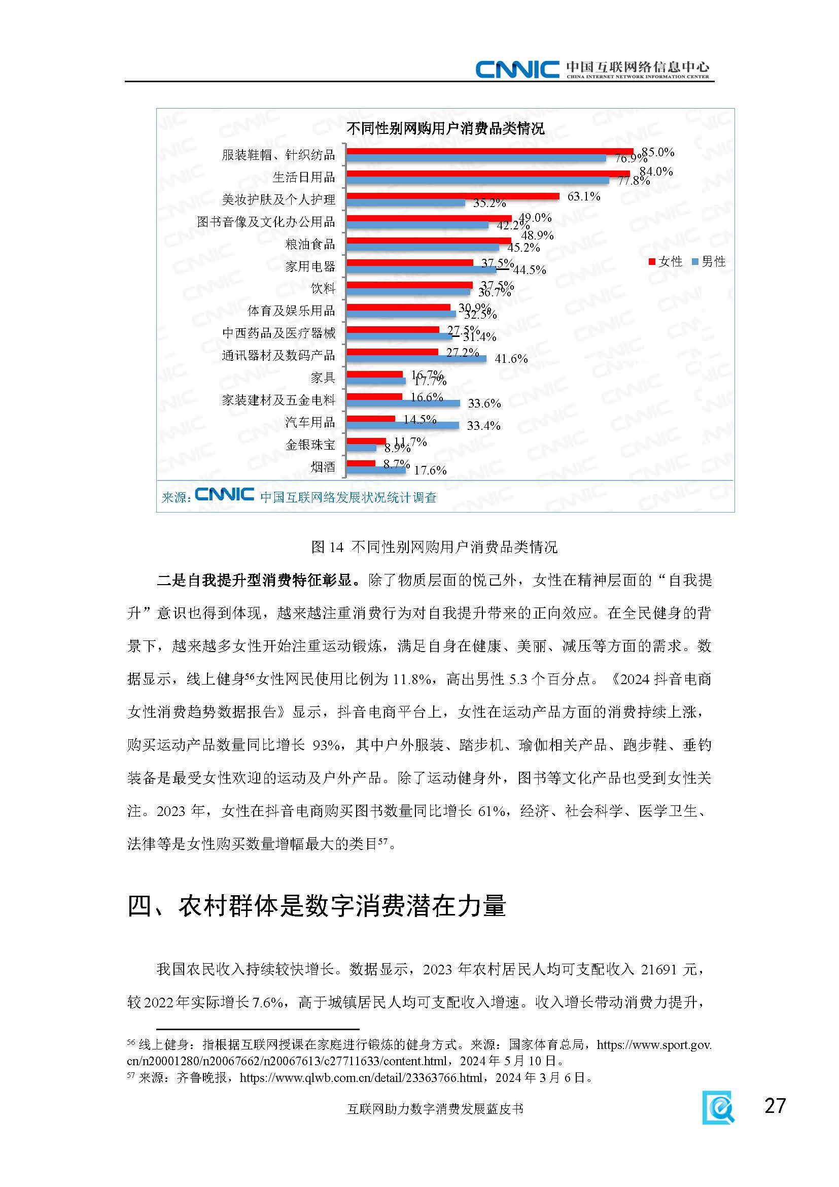 越南数字消费快速发展
