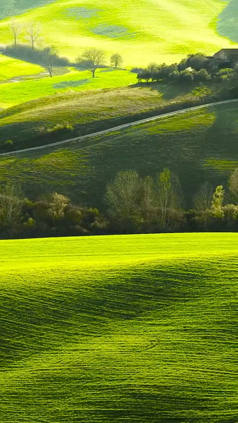 助力经济社会逐“绿”而行 16省市试点绿色外债业务