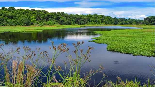 助力经济社会逐“绿”而行 16省市试点绿色外债业务