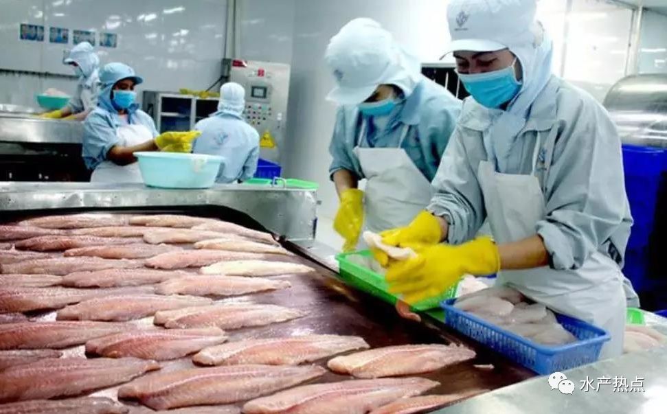 2025前7个月，越南农林水产品出口额近400亿美元