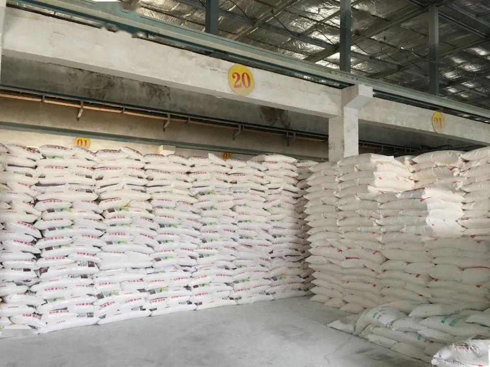 创新药股市狂欢 谁在“囤粮”谁在套现