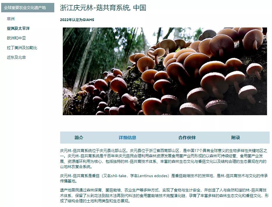 泰国荣登亚洲文化榜首 全球排名第八！ 软实力成经济新引擎