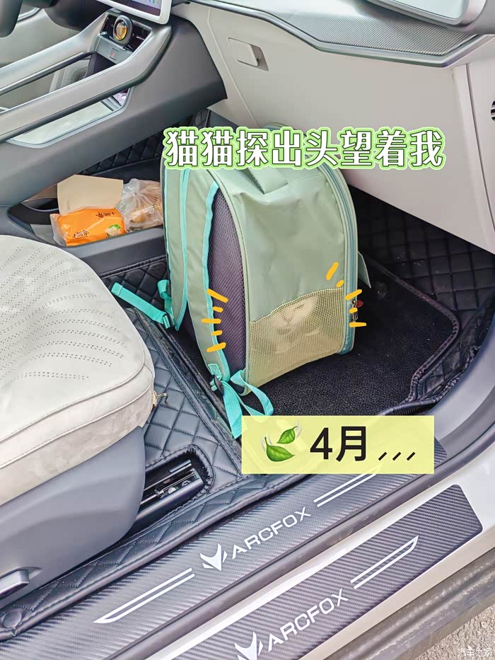 极狐的“下沉之战”:高端品牌闯入6万元市场