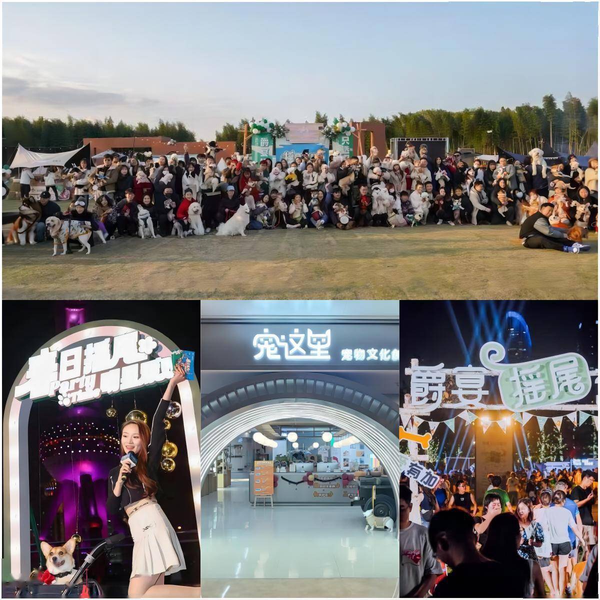 佩蒂股份上半年实现收入7.27亿元 “爵宴”自有品牌营收增长近50%