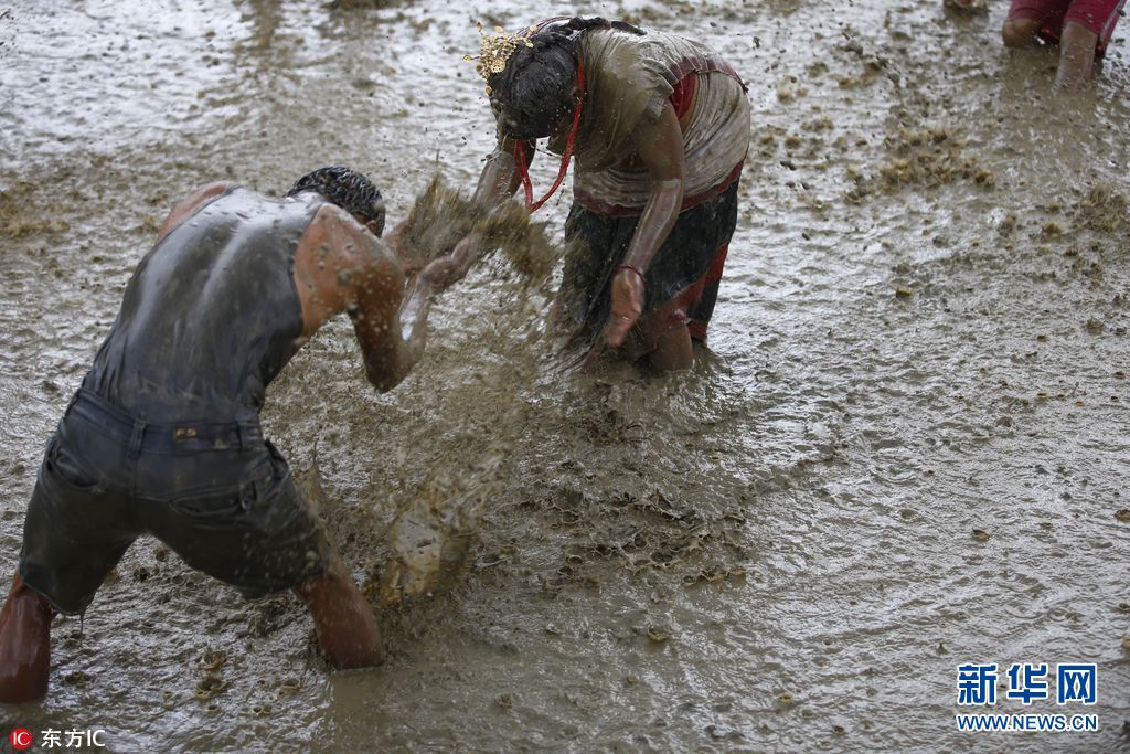 尼泊尔粮食主产区迎来雨季转机，水稻种植率显著回升