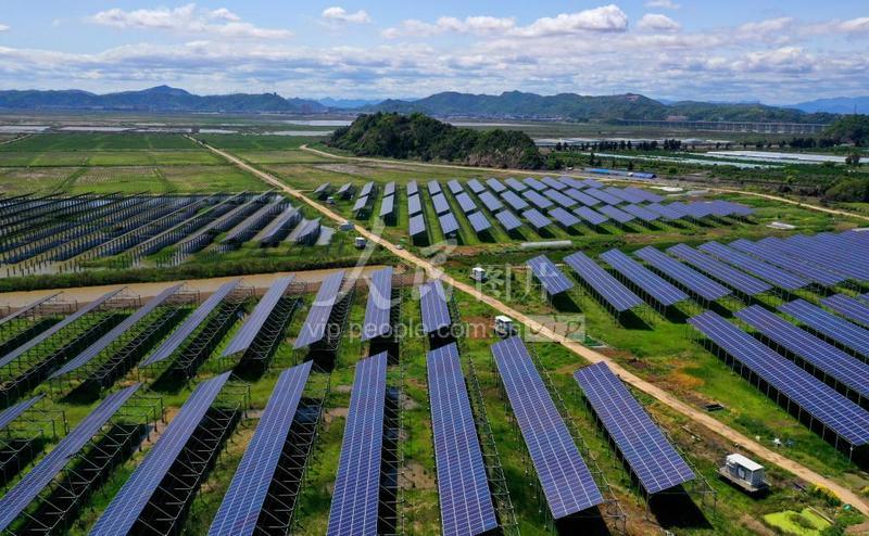 绿色债券环境效益信息披露情况二季度分析报告