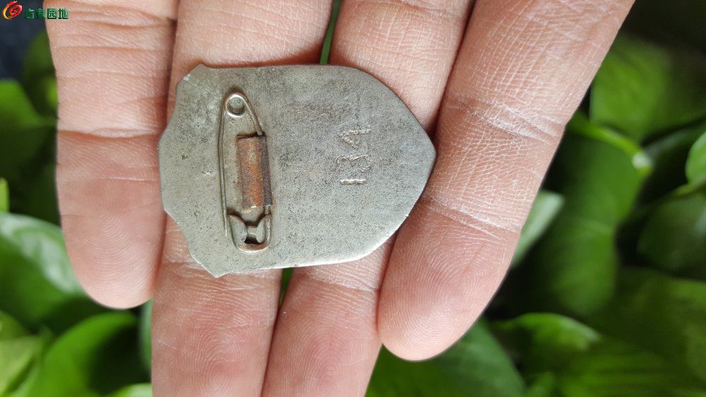 台海观澜 | 国民党主席应是没有杂质的“纯蓝人”