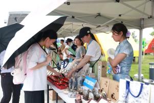 营收净利双增！青岛银行上半年成绩单出炉，强劲动能何以彰显韧性？