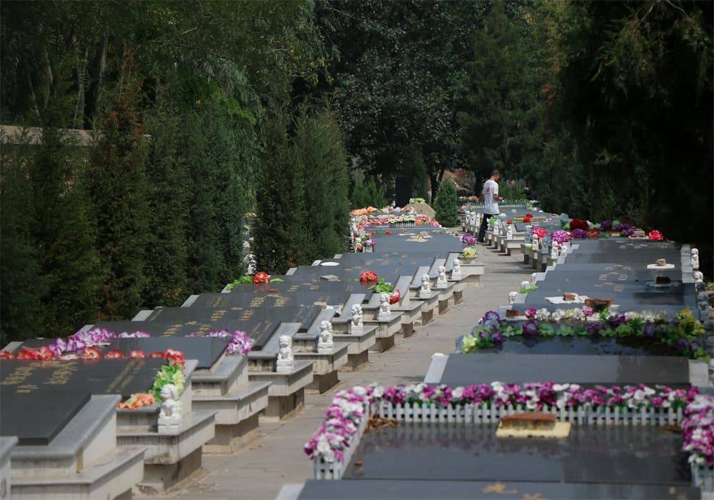 墓地五折卖 福寿园上市12年首亏