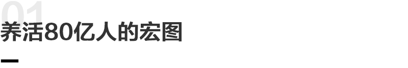 寒武纪大跌14%险守1200元关口 市值两天“蒸发”超900亿