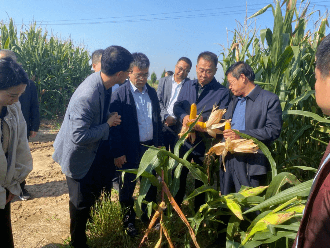 农业农村部部署开展秋季农作物种子市场检查