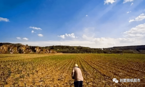 案中案：巨额“灰色收入”存进原保姆账户之后……