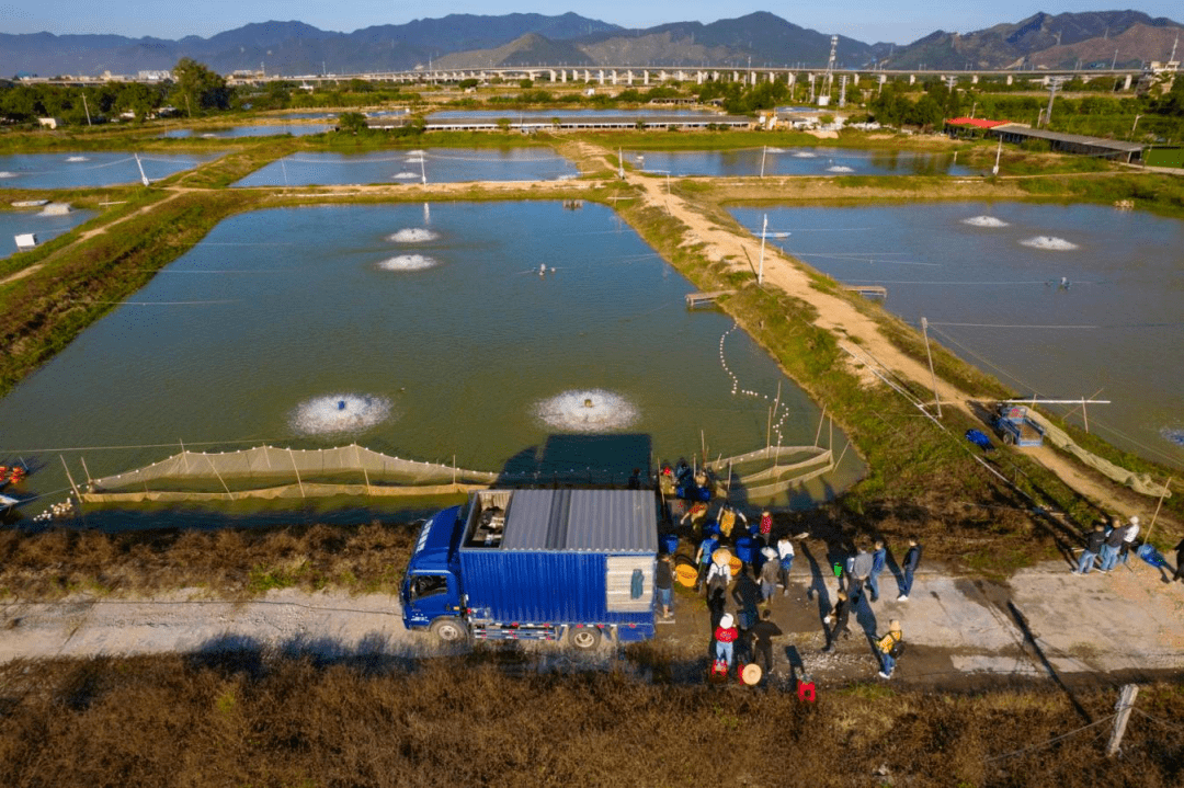 克罗地亚二季度农产品生产者价格上涨5.9%