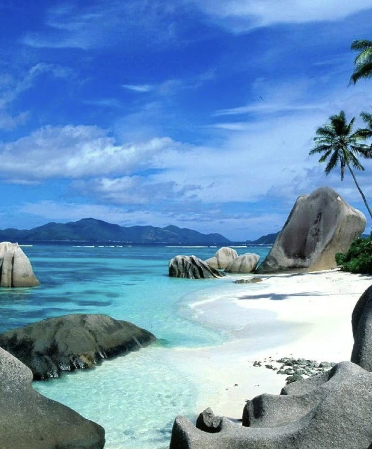 德国直飞塞舌尔航线将于2025年10月开通