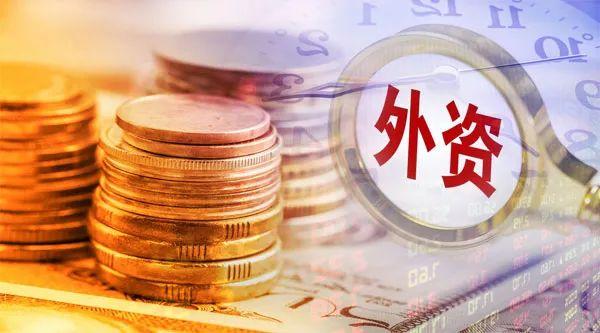 1200亿巨头突然火了！超230家机构调研，发生了什么？