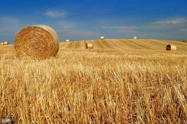 过去五个月，泰已使用超过1.3万亿泰铢的自由贸易协定（FTA）优惠