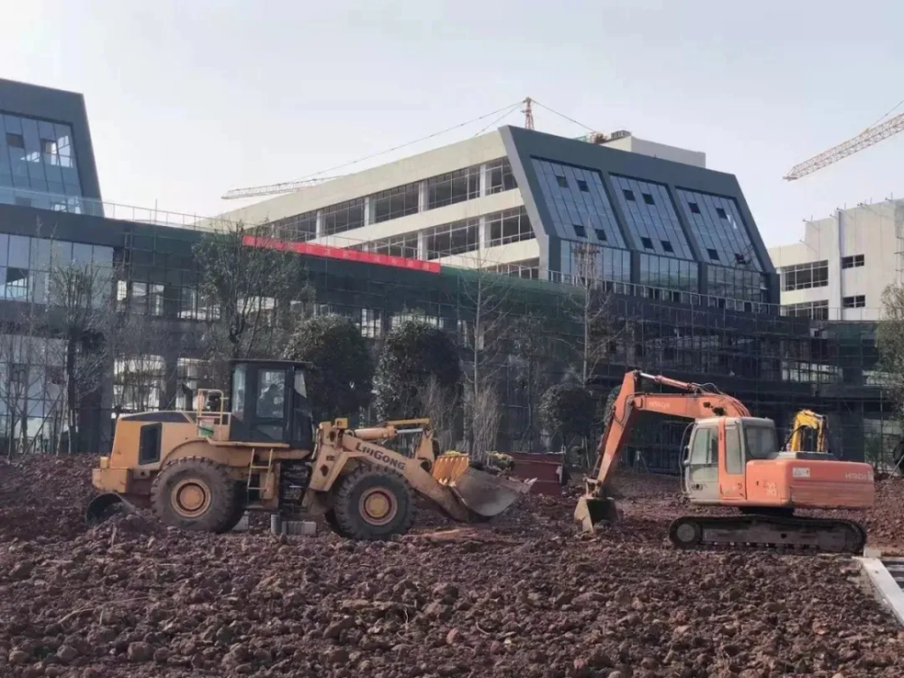 2025年二季度蒙古农林牧渔业就业人数同比增长2.5%