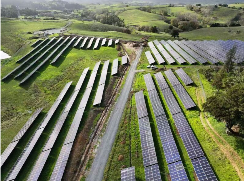 驻奥克兰总领馆经商处出席2025新西兰国际建筑业博览会