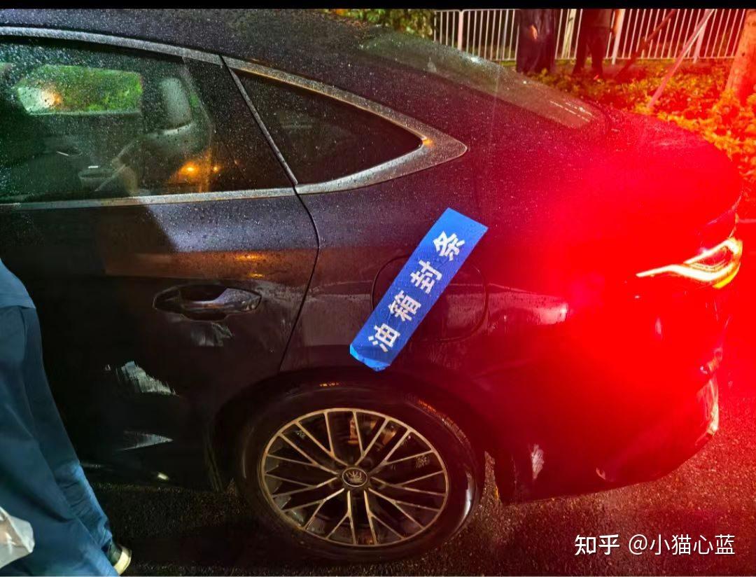 比亚迪百辆新能源汽车运抵阿根廷