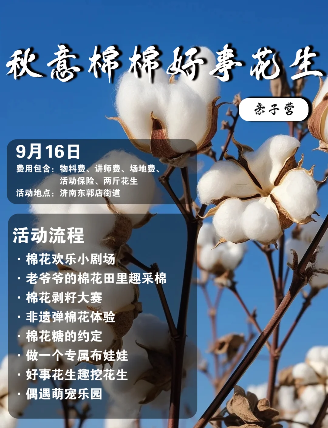 土棉花采收季将于9月10日启动