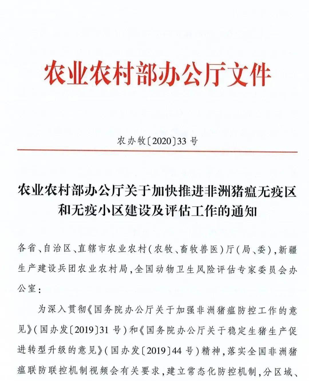 非洲粮食系统论坛开幕，呼吁农业转型