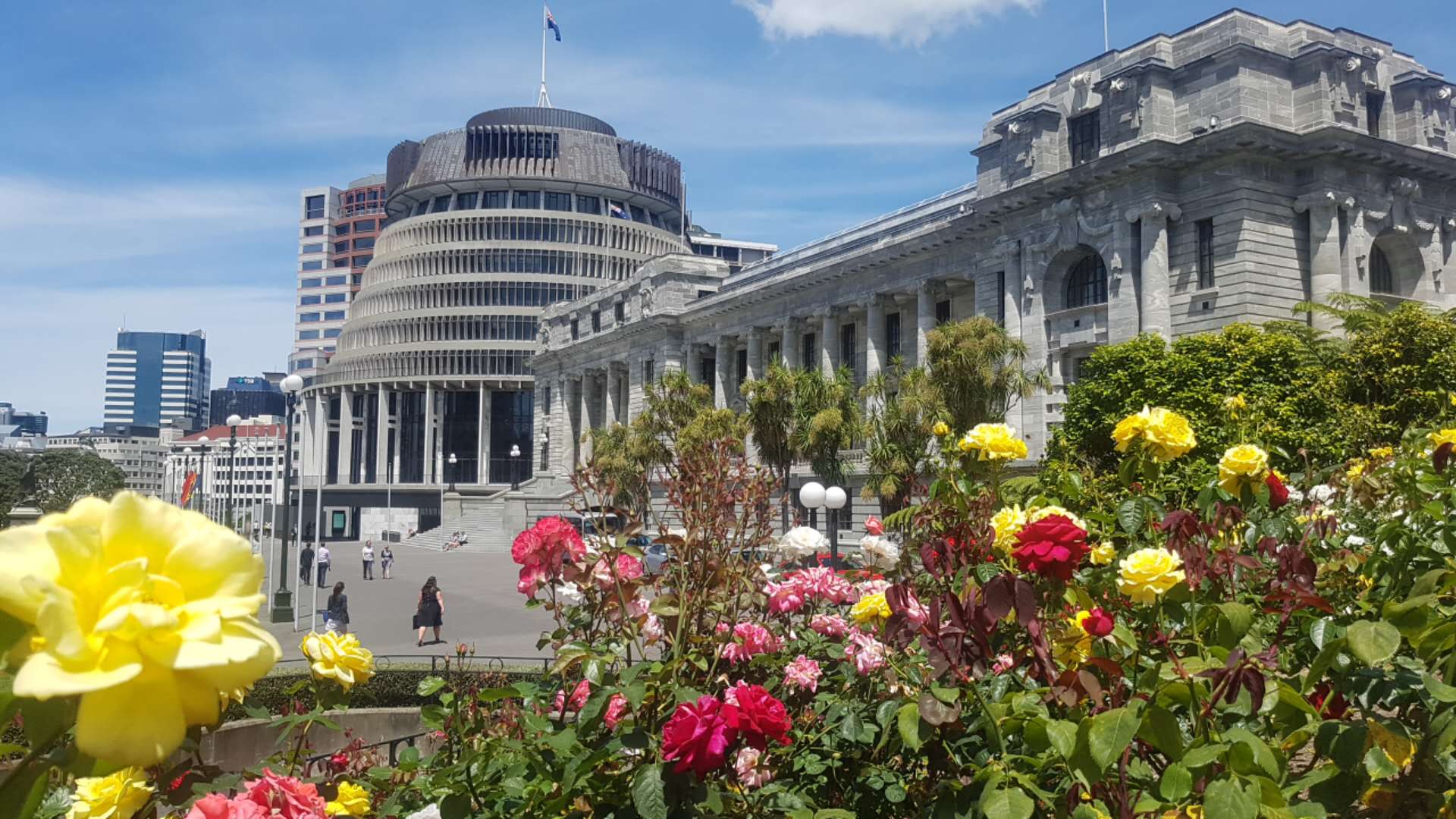 新西兰总理拉克森和陈世杰总领事等出席2025新西兰国际建筑业峰会颁奖典礼