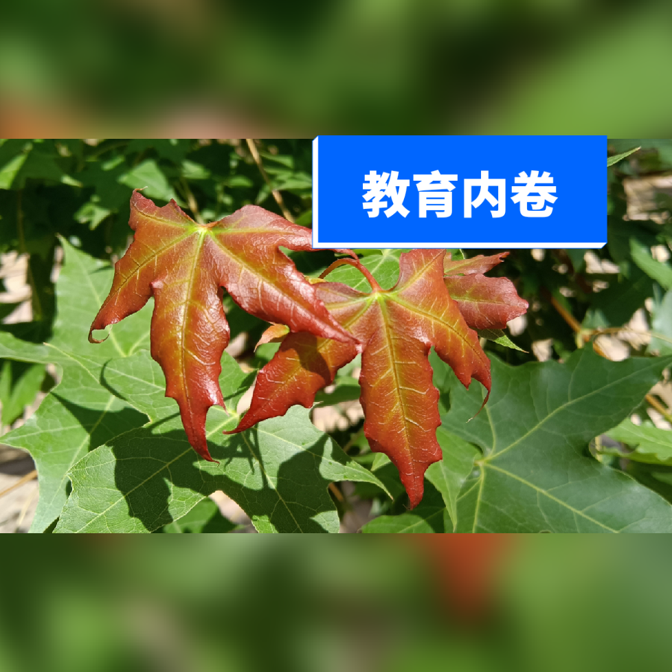 “内卷外溢” 科技巨头外卖战火燃到巴西