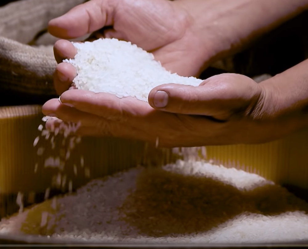 今年前8个月柬埔寨橡胶出口创收4.7亿美元