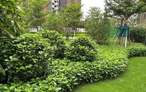 广州合景控股集团：“H20合景6”等三只公司债券停牌