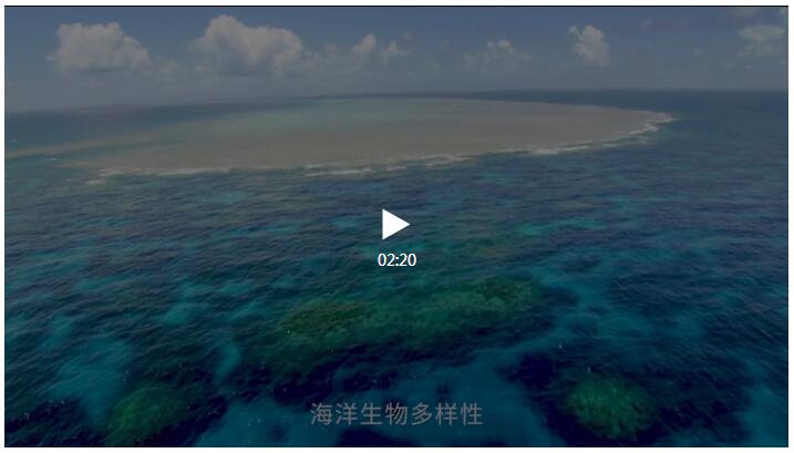 格林纳达批准联合国保护海洋生物多样性条约