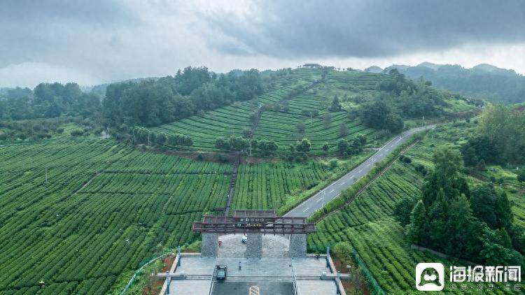 鲁渝协作升级：以消费帮扶带动农业全产业链升级