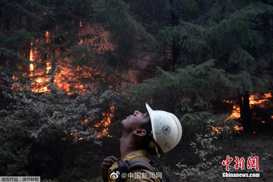 越南提议岘港市与美国俄勒冈州开展芯片技术合作