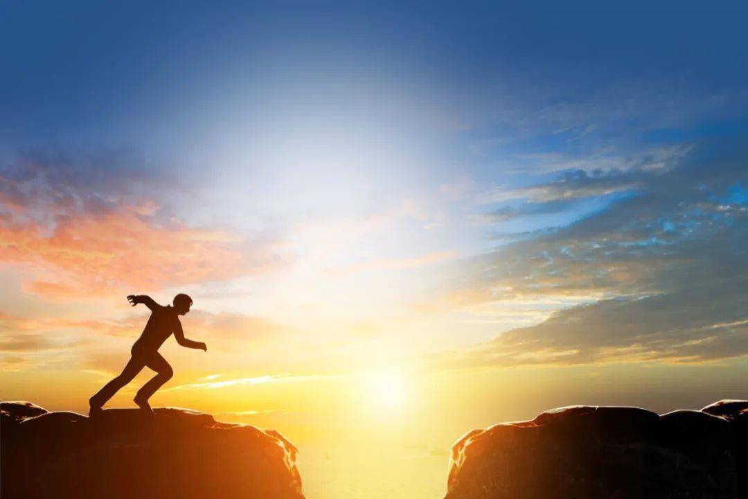 陈春花：组织的数智化转型，机会从“寻求共生”中来